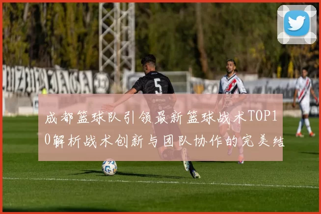 成都篮球队引领最新篮球战术TOP10解析战术创新与团队协作的完美结合MBA