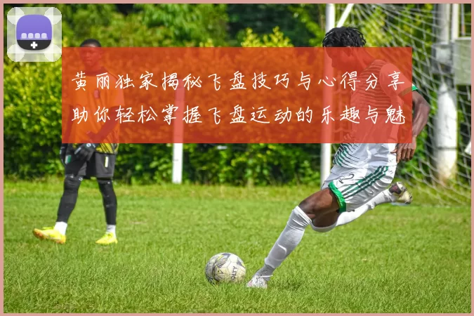 黄丽独家揭秘飞盘技巧与心得分享助你轻松掌握飞盘运动的乐趣与魅力MBA