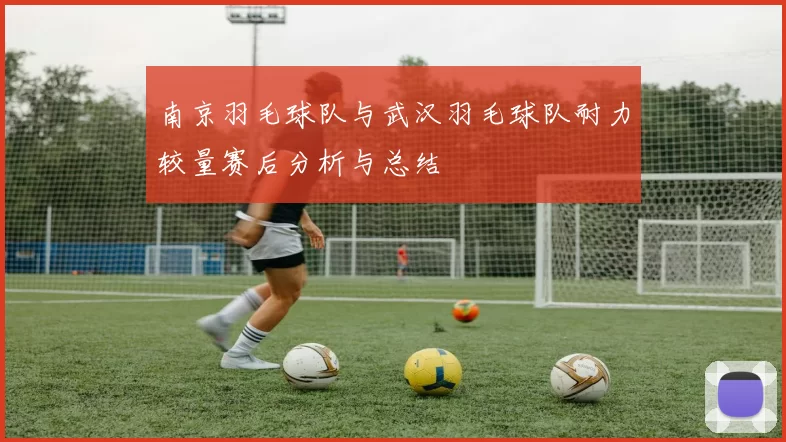 南京羽毛球队与武汉羽毛球队耐力较量赛后分析与总结