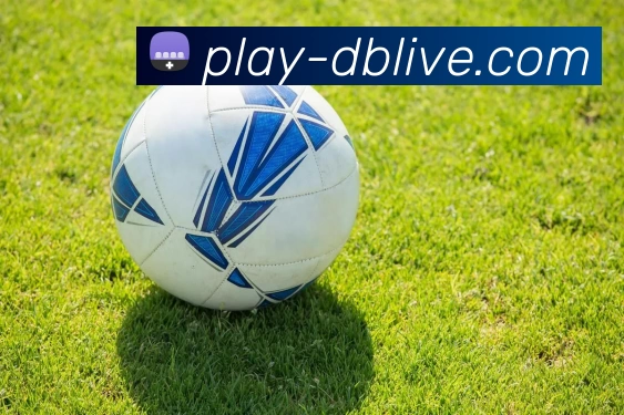 DB真人平台生态图