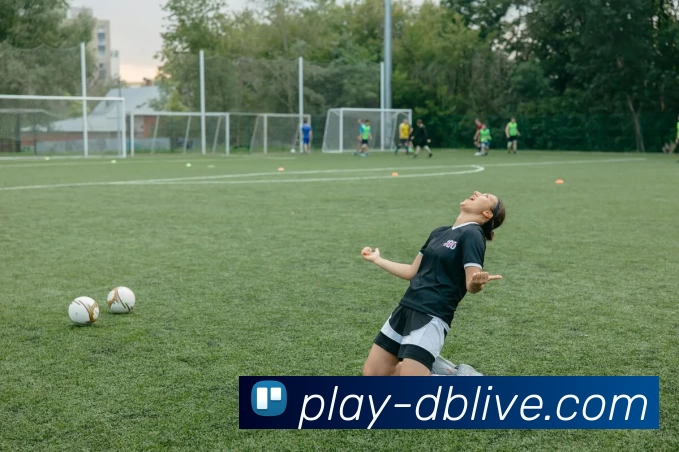 DB真人APP 高清赛事图